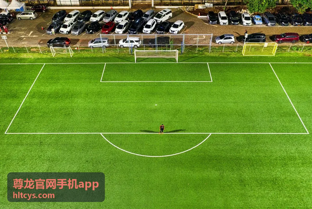 尊龙官网手机app更换手机后重新安装客户端的情景
