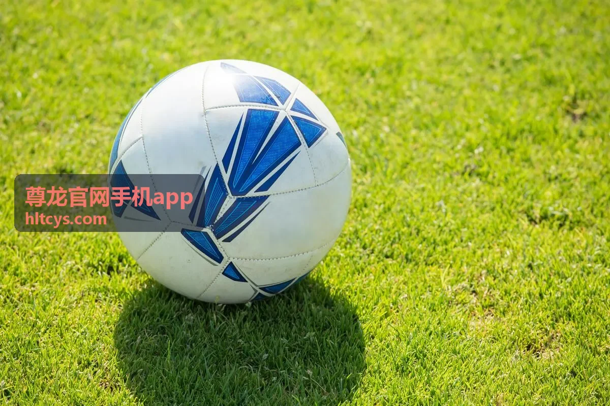 尊龙官网手机app版本更新提示处理示意画面
